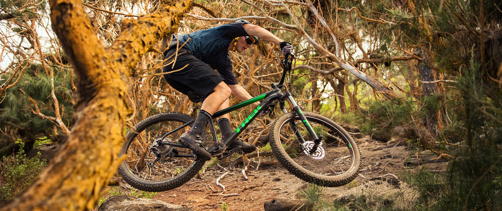 Vtt roscoe top 7
